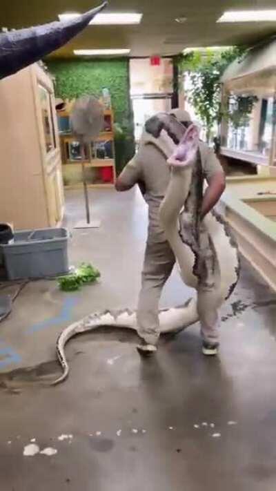 She was so ready to bite