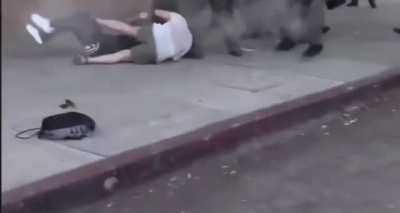 Agitator vs Police vs Protestor