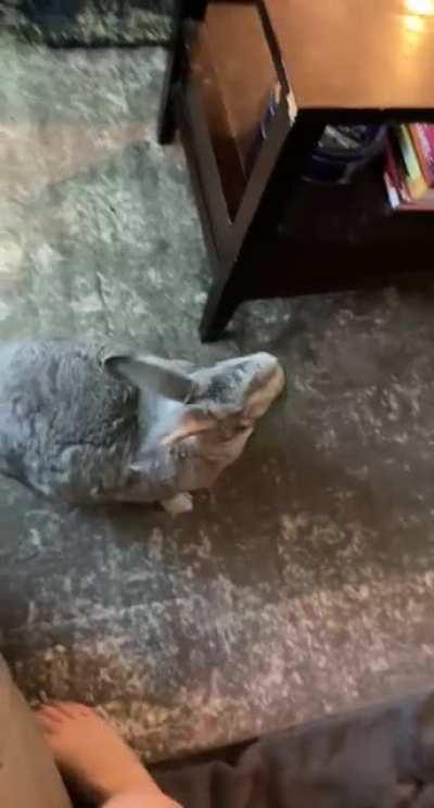 She runs and she spins things