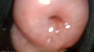 filled my uterus with sterile lube