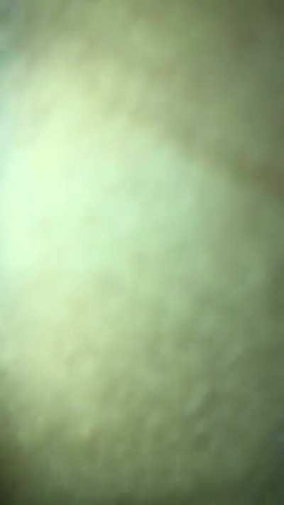 Getting sucked off from a Maori chick