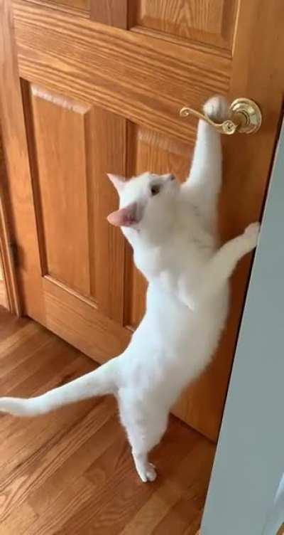 to open the basement door