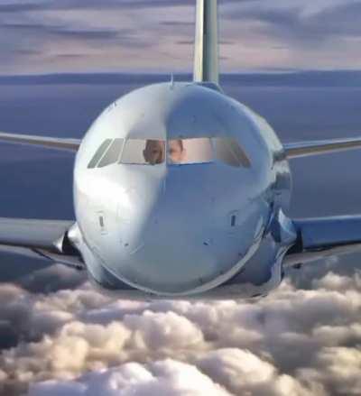 PedroDBR - Video #4017