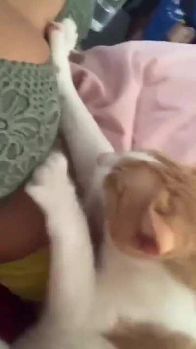 Buster has a good thing going