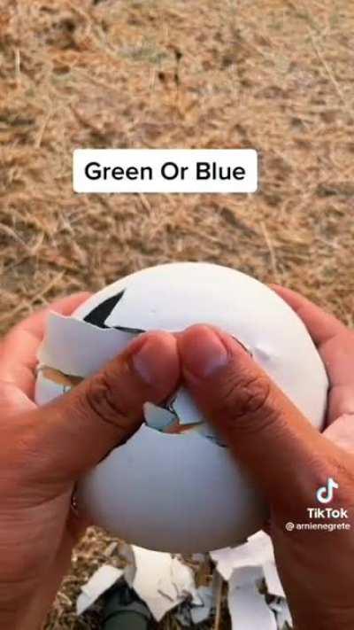 Damn I thought it was blue