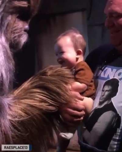 Baby meets Chewbacca