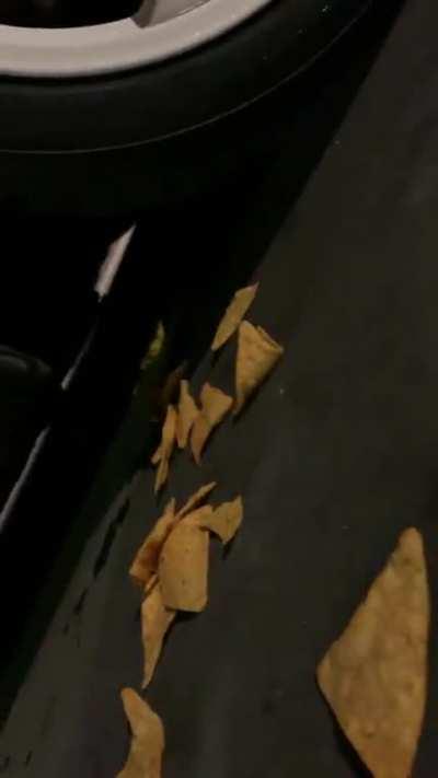 Blew my motor last night