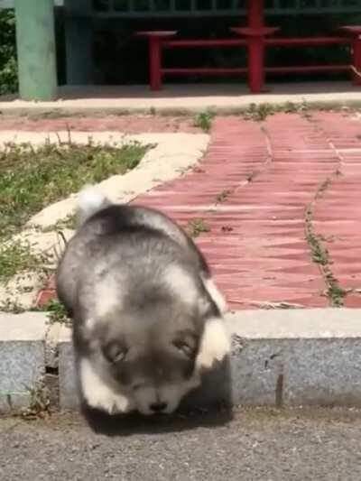 To go down a single step