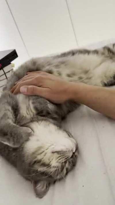 The rollover bellyscratch sound