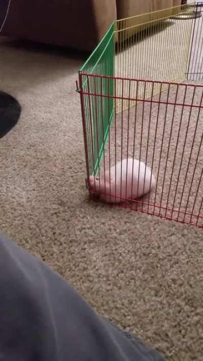 Терпение и труд все перетрут