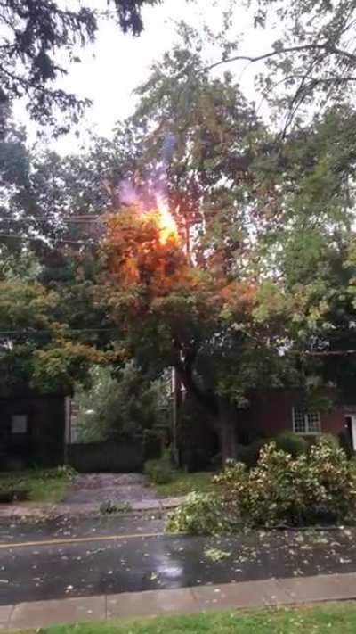 Private fireworks today!