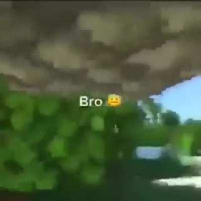 Bro