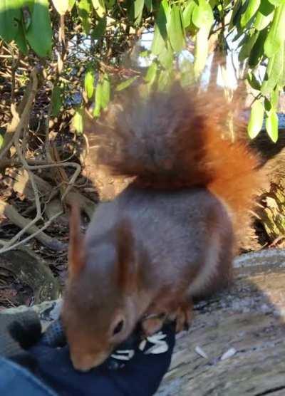 Fingers nibbled by Jen when I didn't realize that her nuts were all gone 😆