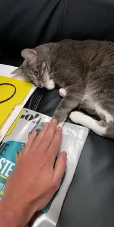 Tap for Tap with my work from home colleague