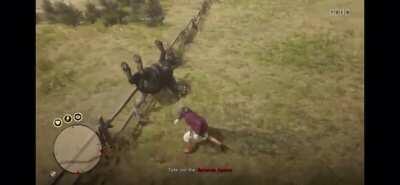 Guys I think my horse broke