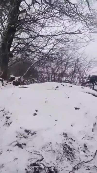 Soldiers of the 80th Separate Air Assault Brigade are watching the work of Ukrainian tankers on the Russians near Bakhmut.