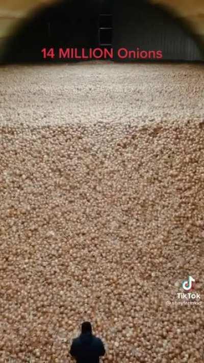 Thought y'all might like this :)