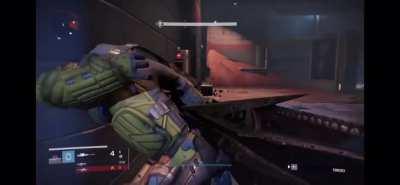 Maybe they love getting shot