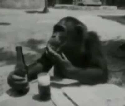 Kim üzdü ulan maymunu 😡😞✌️🦍