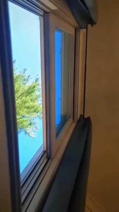 Dude's just trying to eat his breakfast.