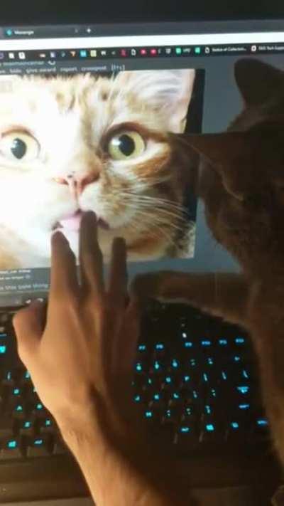 Just a little peanut butter and jealous