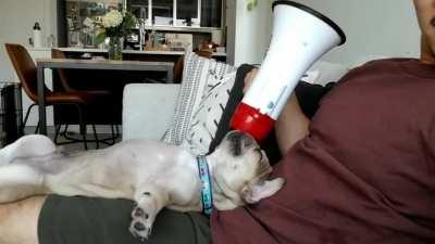 Mega Mike! (Sound on 📢📢📢)