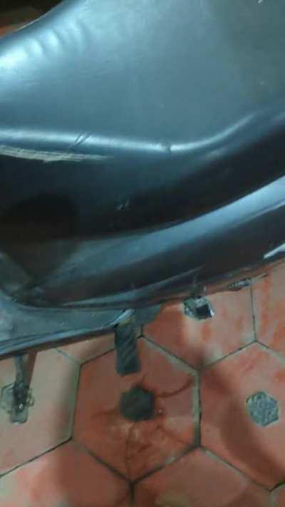 I finally caught the seat-scratching culprit! 