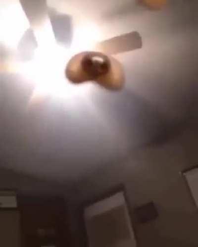 The light has a face
