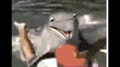 Thanks I hate dolphins