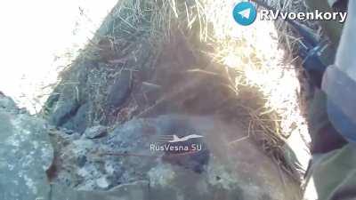 new perspective of the 2 Ukrainian soldiers killed by a Russian soldier