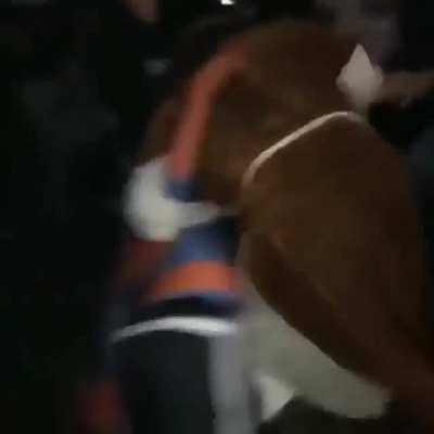 Jesus e homem aranha fds