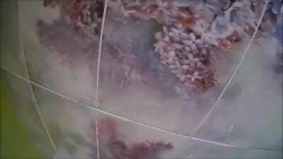 Female POV - Taking a Shower