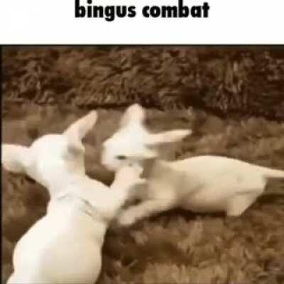 bimgus batle royal coming 2012!?!a??m!