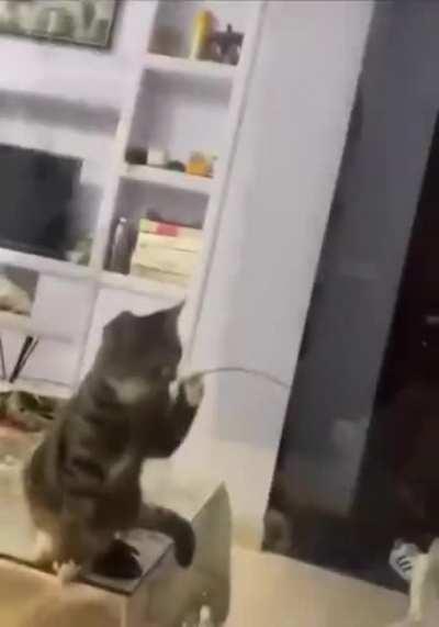 Uno reverse card in wrong place