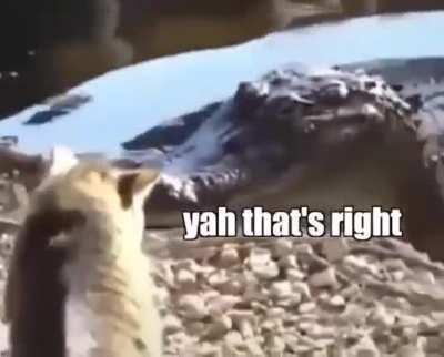 Доминируй, властвуй, унижай!