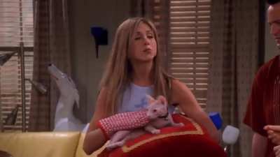 Rachel Buys An Expensive Naked Cat
