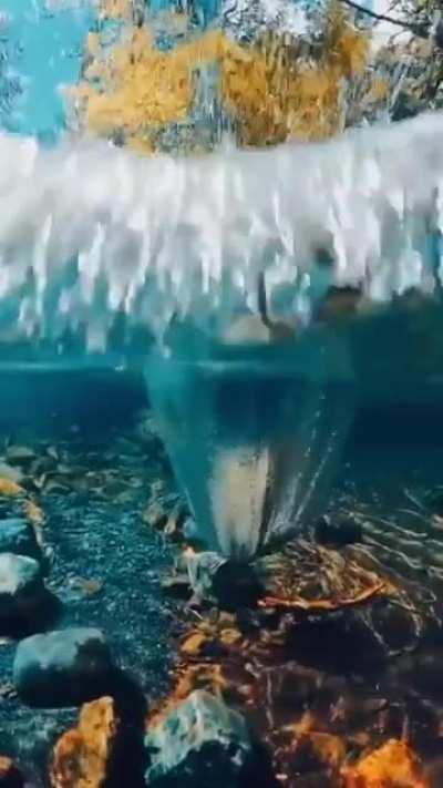 Watching a rock drop into crystal clear water