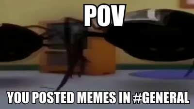 this post was made by the discord mod gang