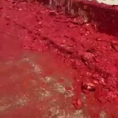 More ketchup? Yes, a truck load of ketchup on the side please. Location: Lebanon 3 daye ago