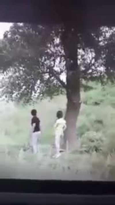 could have checked properly