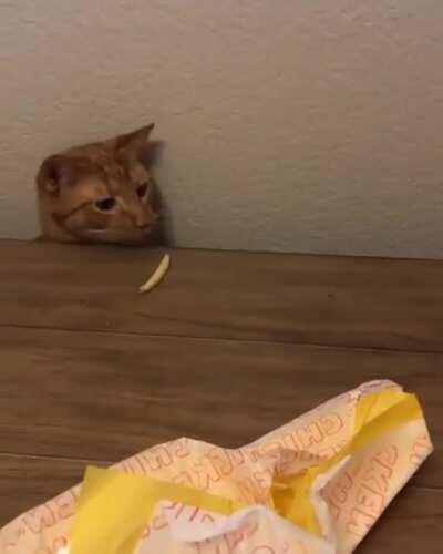 Your offering is acceptable...