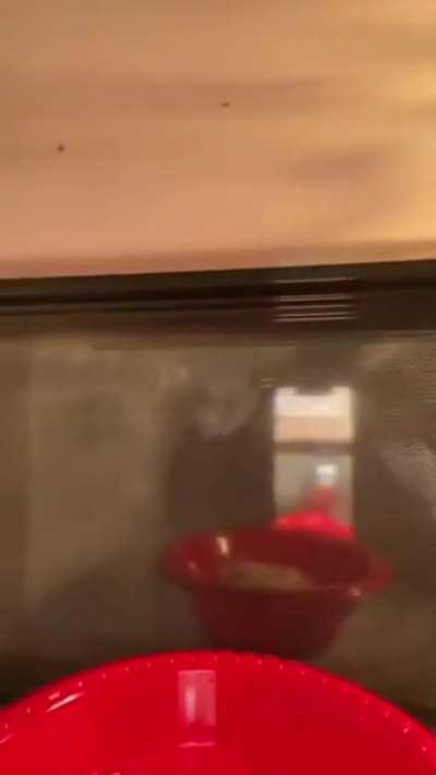 sick of all these tic tacs