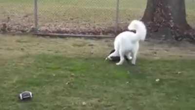 The best offence is a good defence