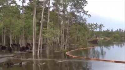 Sequoia could’ve saved themselves but instead chose *The Pool*™️