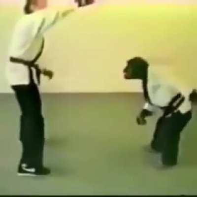 Simio peleando🙊Simio peleando🙊Simio peleando🙊Simio peleando🙊Simio peleando🙊Simio peleando🙊Simio peleando🙊Simio peleando🙊Simio peleando🙊Simio peleando🙊Simio peleando🙊Simio peleando🙊