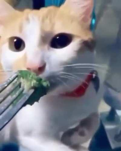 Broccoli, my favorite