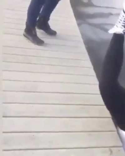 HMF while i'm looking for Neptun.