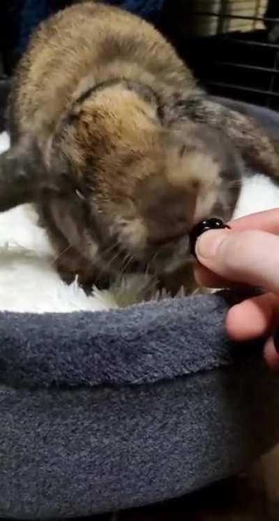 How we have to eat our fruit now that we decided we MUST eat it in our new white bed