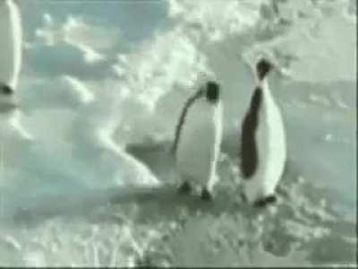 penguin push (epic)