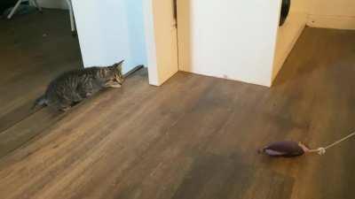 My lil girl’s a great hunter already